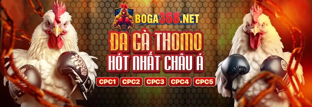 Đá Gà Trực Tuyến Hấp Dẫn tại you88 bet