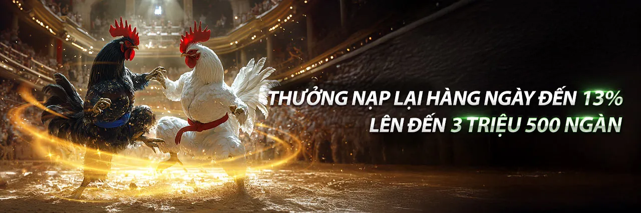 Đá Gà Trực Tuyến you88 bet